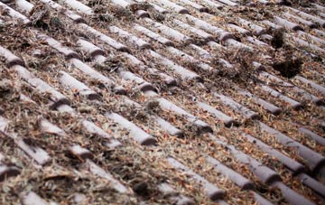 Terrydremont roof cleaning companies